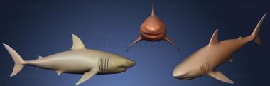 3D model shark (STL)